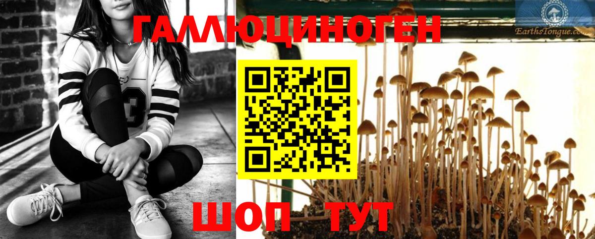Шадринск  Псилоцибиновые грибы мухоморы  Вход с VPN 